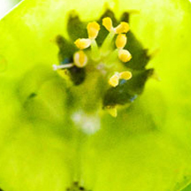 怎么买最省钱的网站ddos